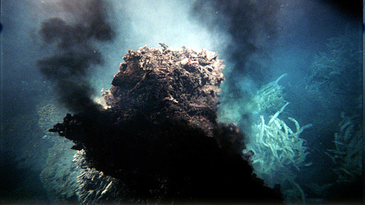 hydrothermal vents Gulf of California 