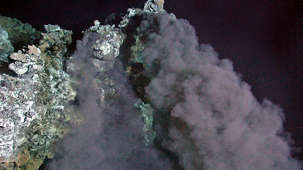 hydrothermal vents Gulf of California 