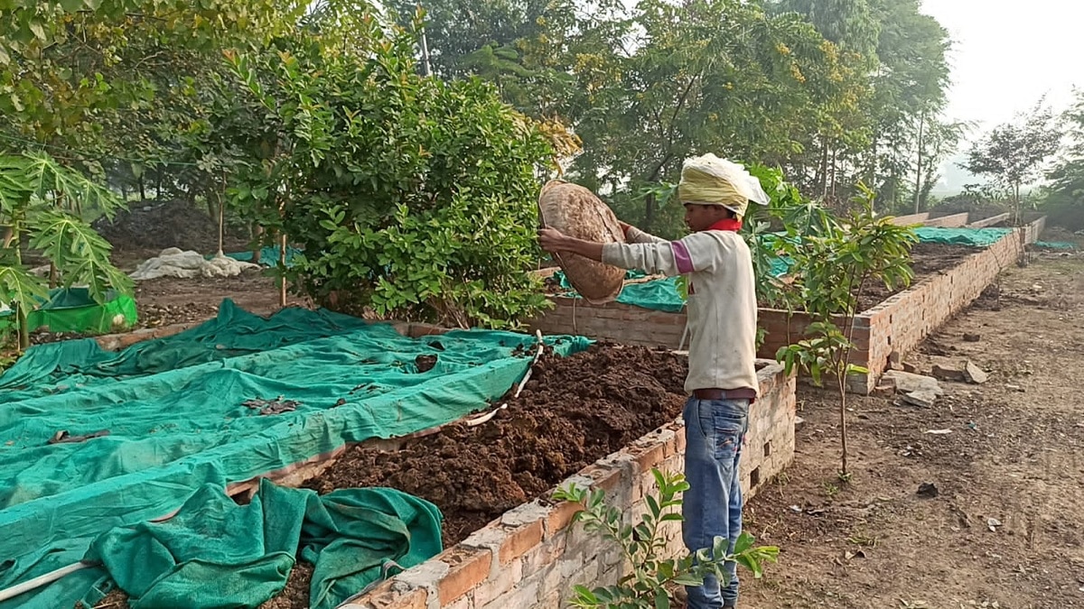 Organic Farming Updates