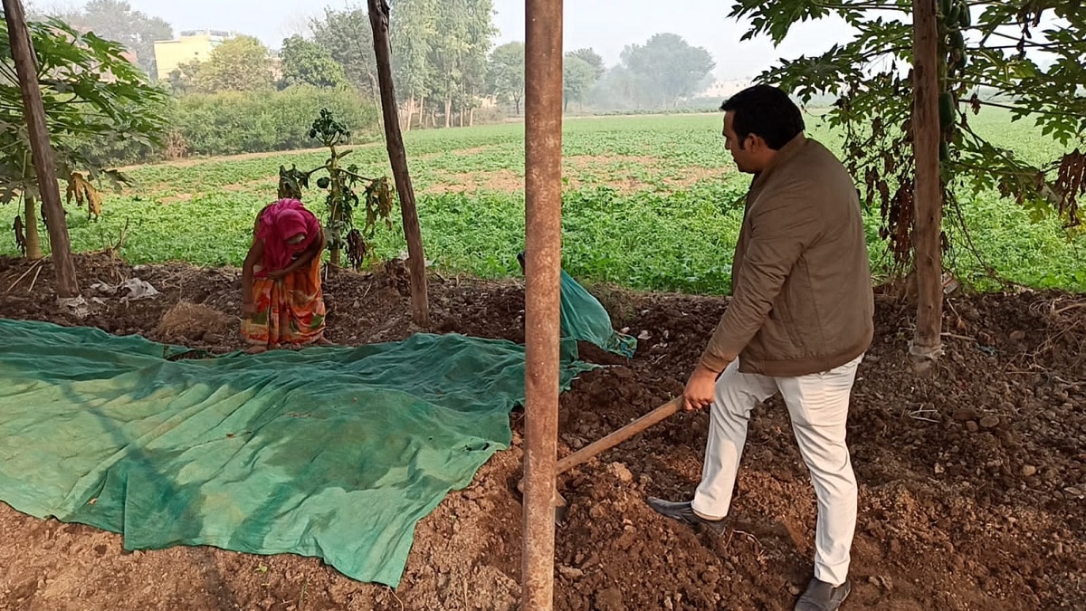 Organic Farming: खेतों में पैदावार भी बढ़ी