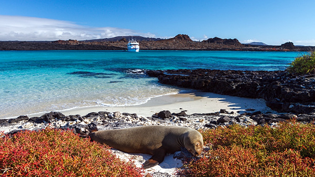 South West Pacific Indian Ocean