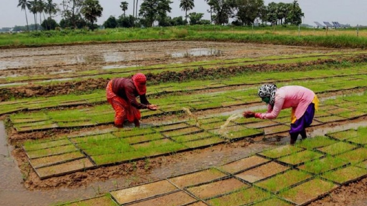 PM Kisan Yojana Rules