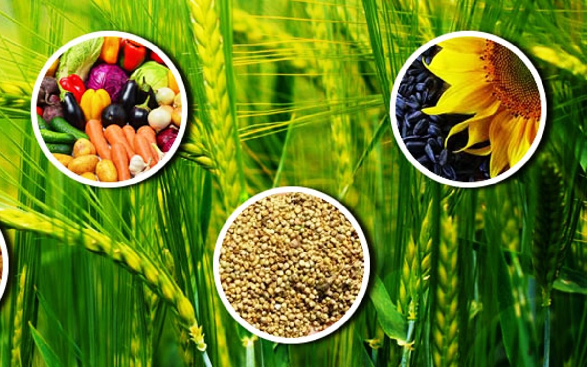 एग्री कारोबार में लगी है कंपनी  