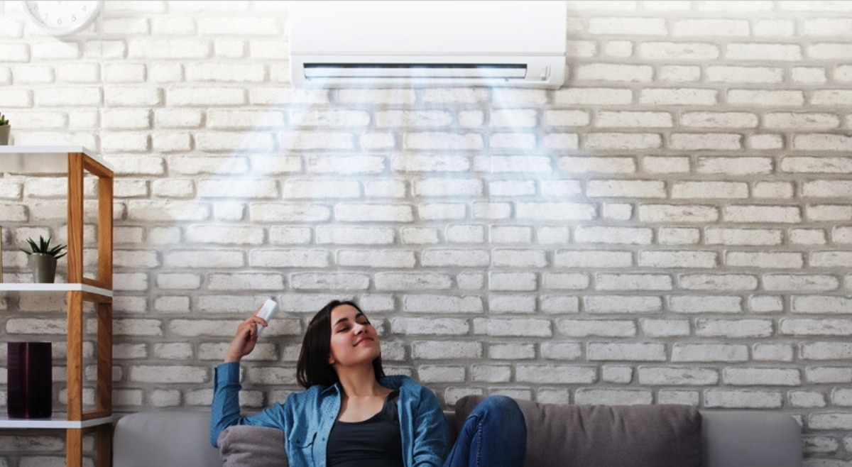 एयर कंडिशनिंग जैसे कई कारोबार में है कंपनी 