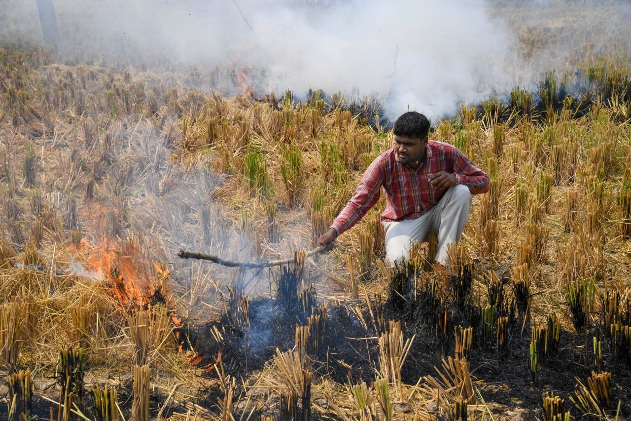 प्रतीकात्मक फोटो (PTI)