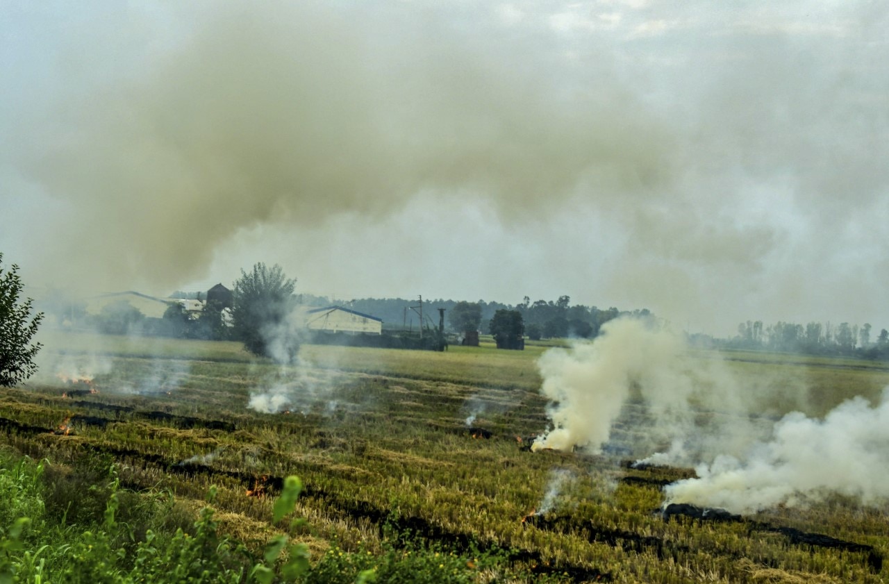 Representational Image (PTI)