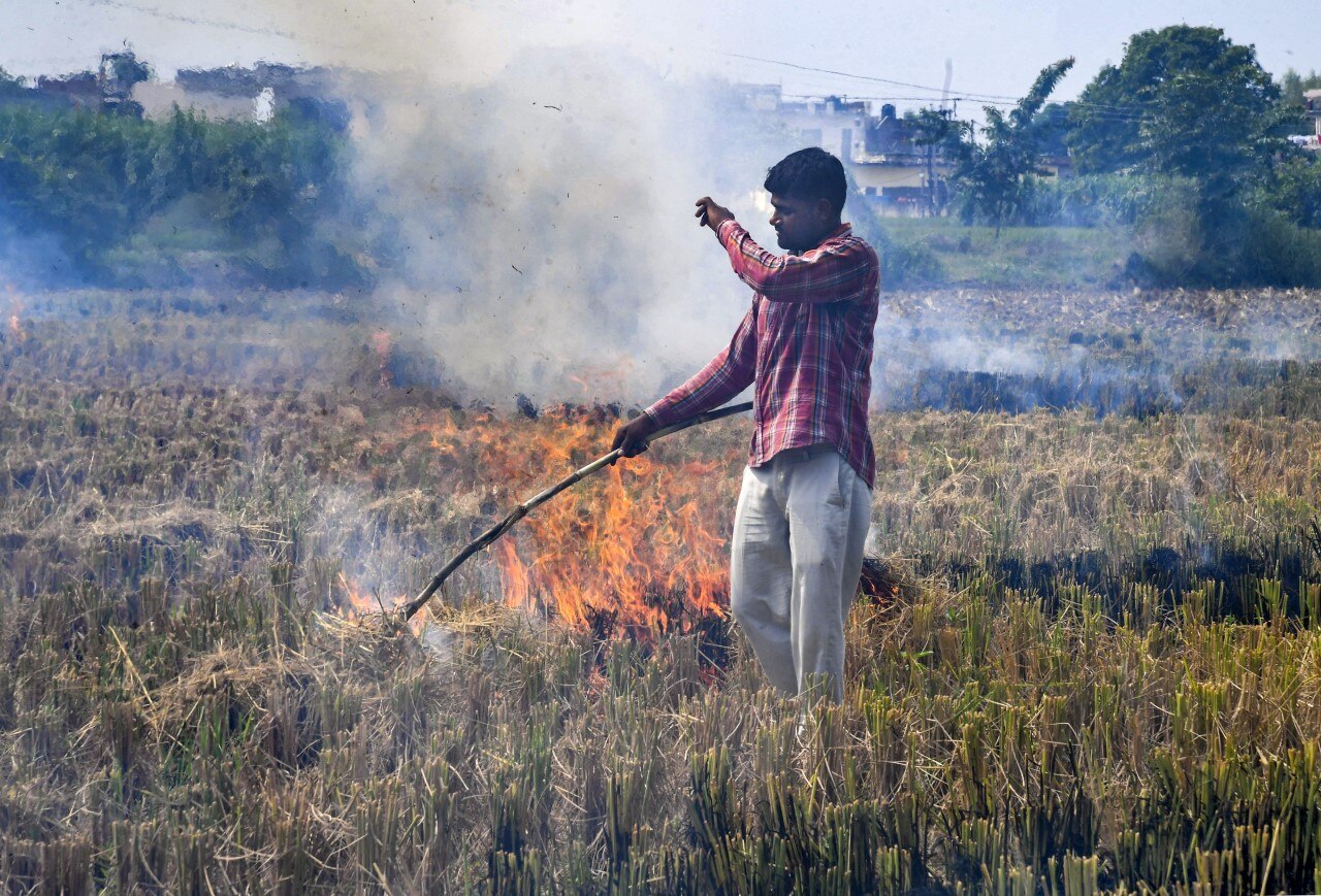प्रतीकात्मक फोटो (PTI)