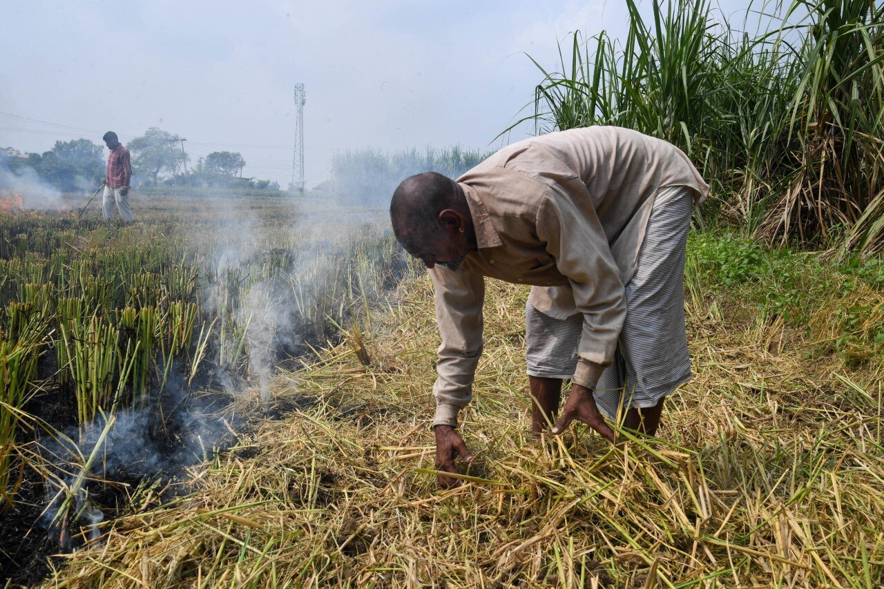 Representational Image (PTI)