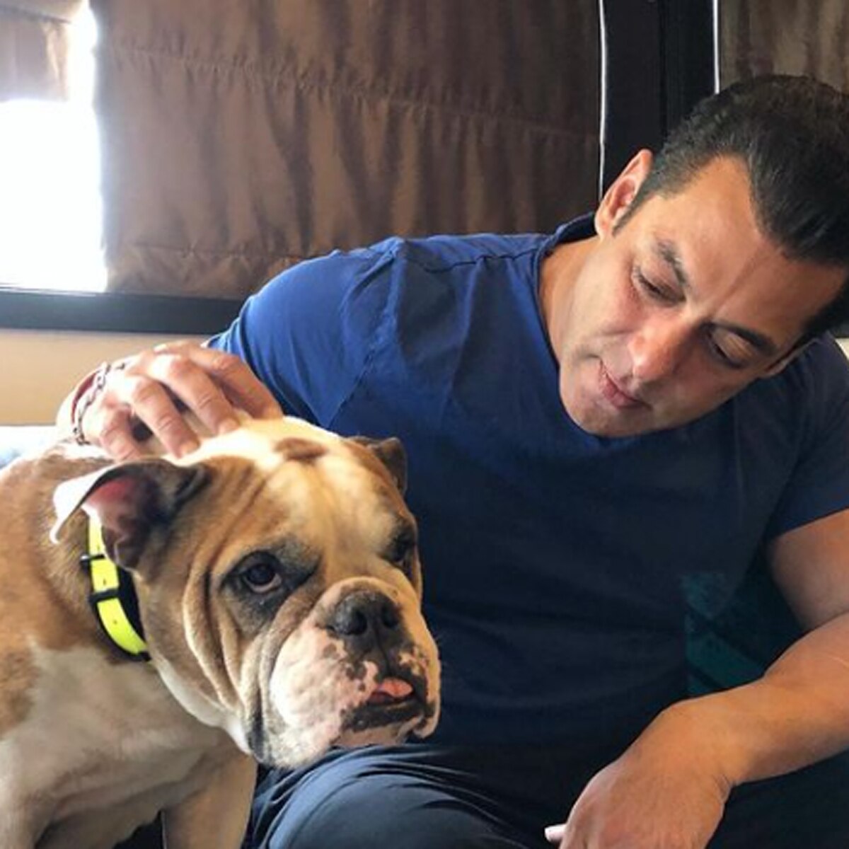 सलमान खान