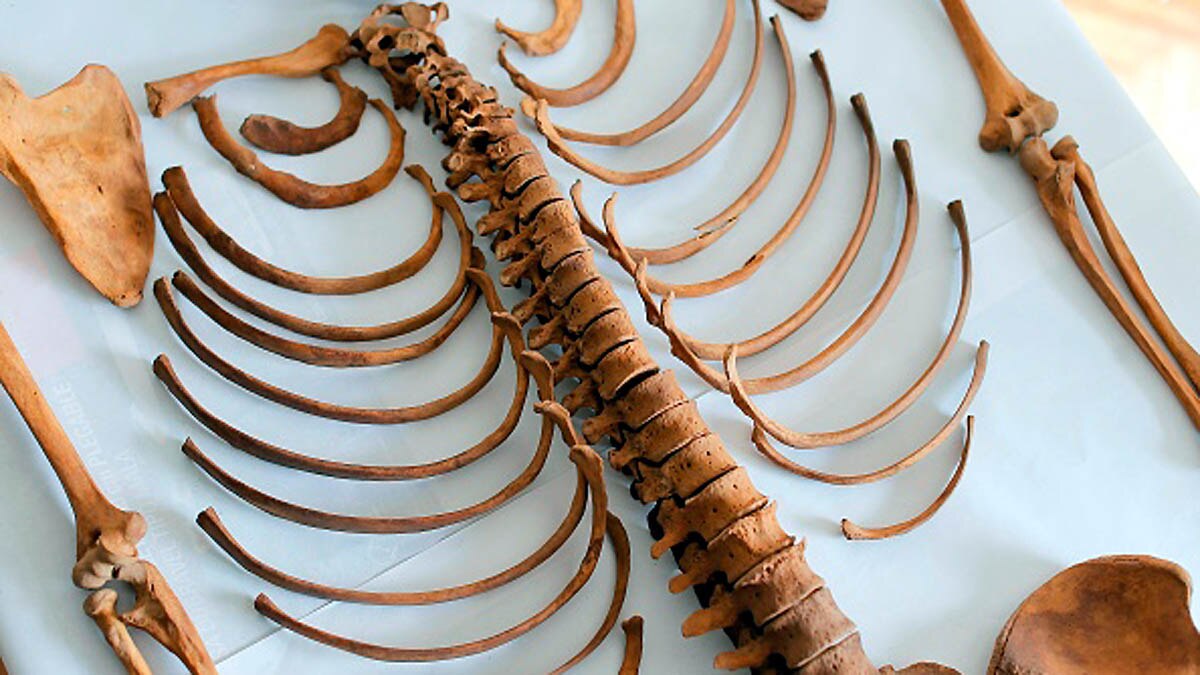  800 Years old Mummy Peru