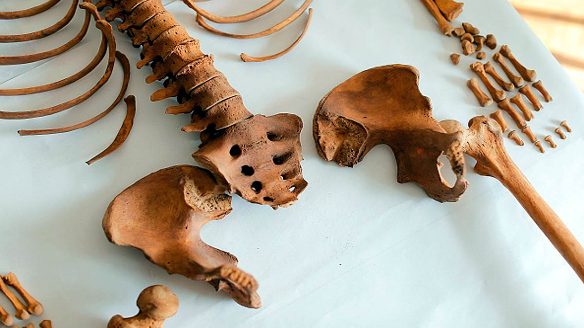  800 Years old Mummy Peru