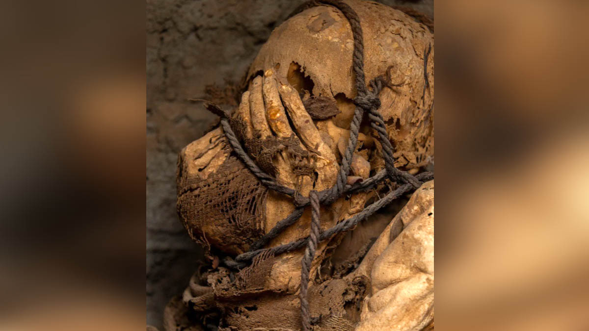  800 Years old Mummy Peru