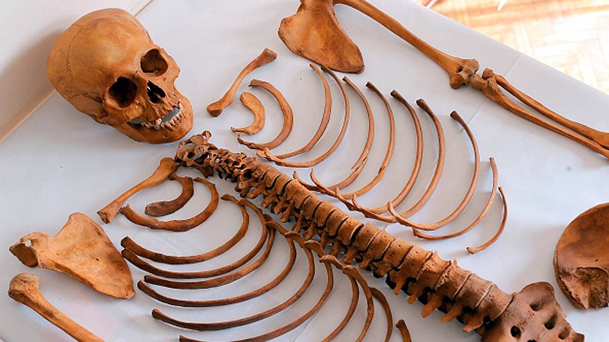  800 Years old Mummy Peru