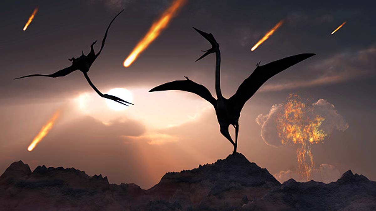 Darkness by Asteroid 