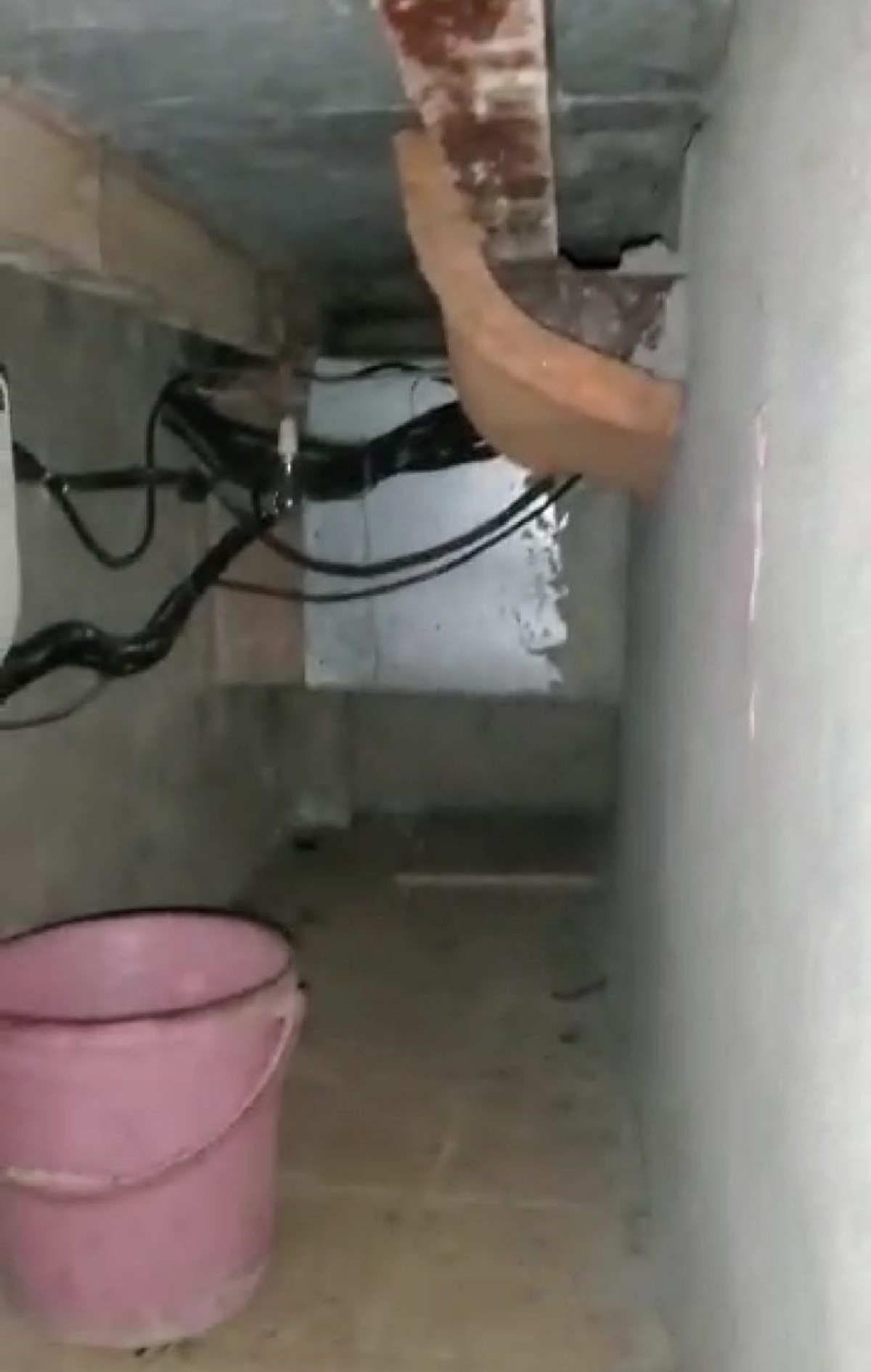 तहखाने का राज