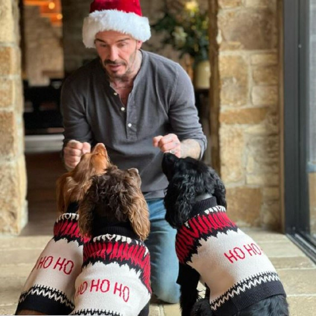 David Beckham (instagram)