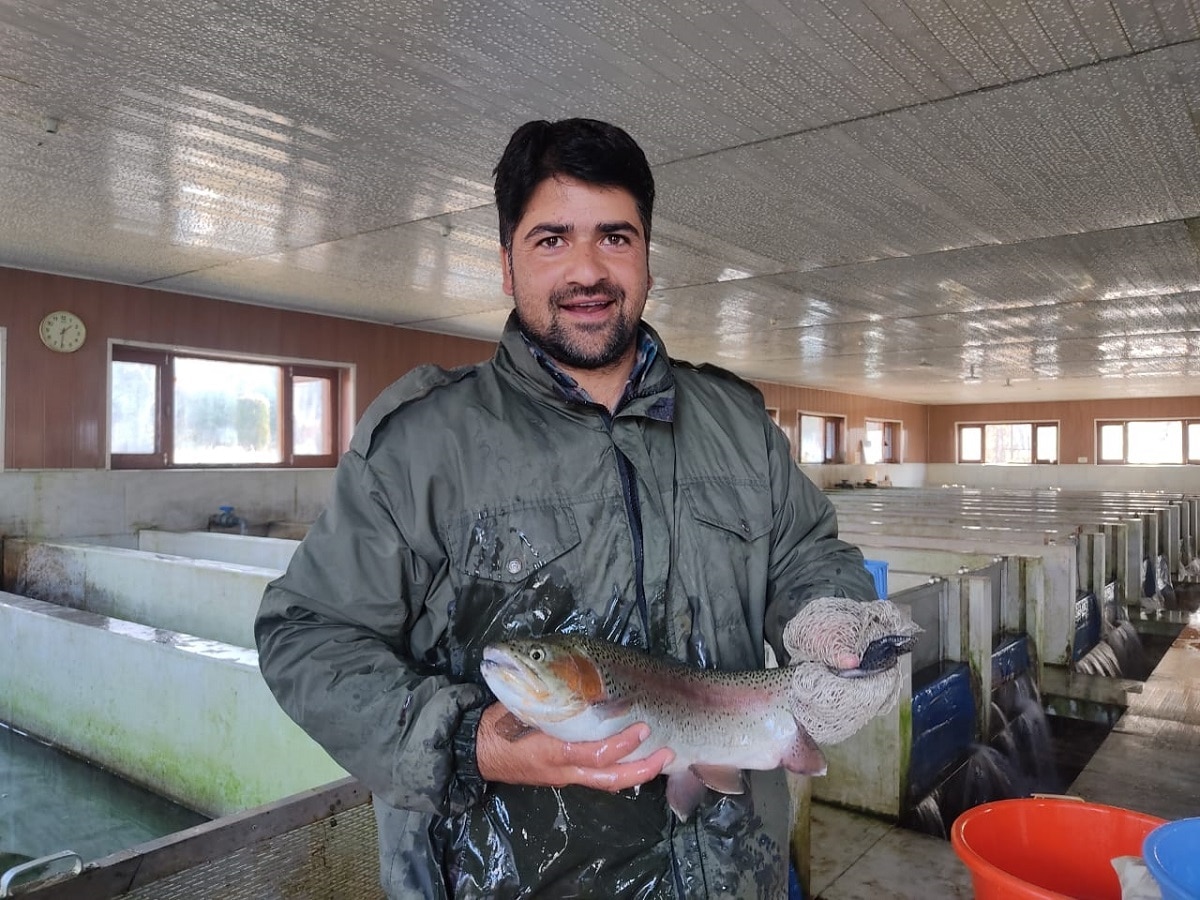 trout fish farming in kashmir