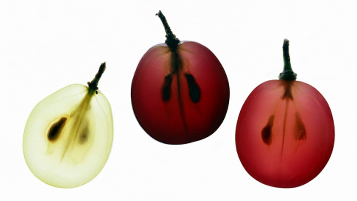 Grape Seed allows anti ageing