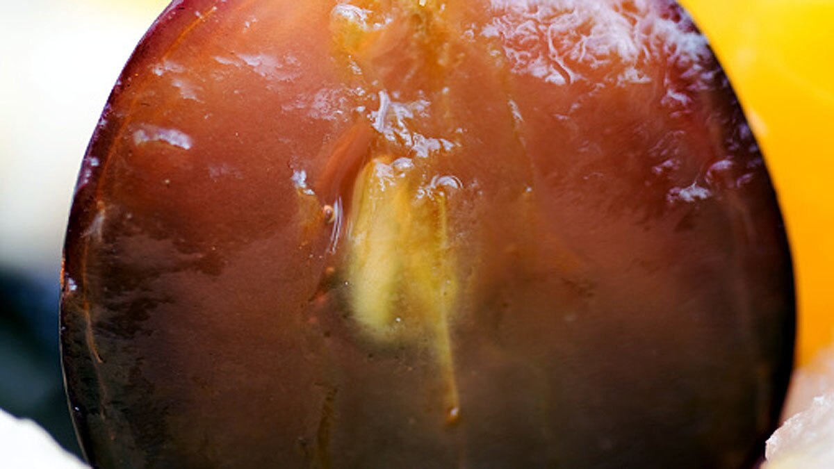 Grape Seed allows anti ageing