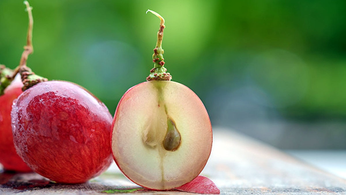 Grape Seed allows anti ageing