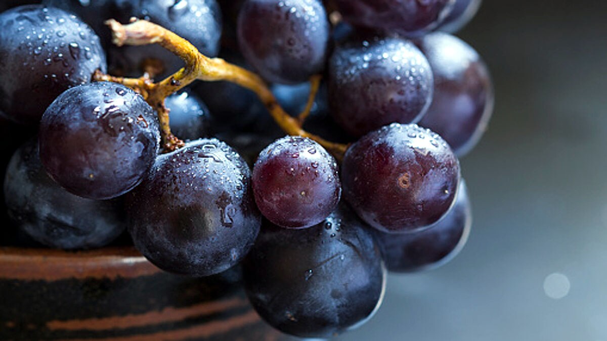 Grape Seed allows anti ageing