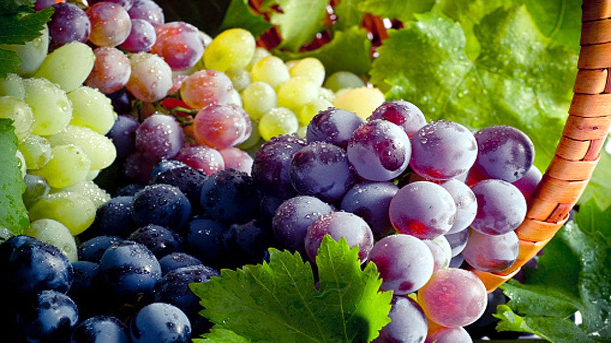 Grape Seed allows anti ageing