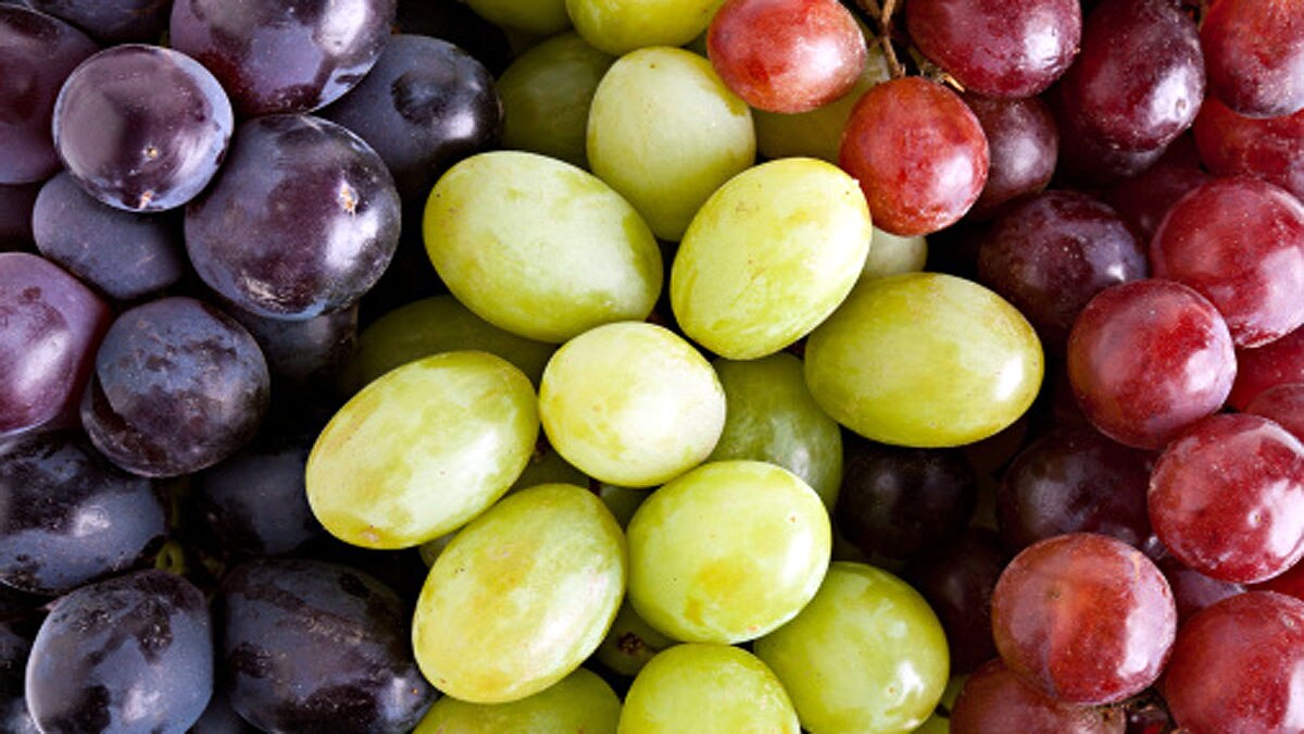 Grape Seed allows anti ageing