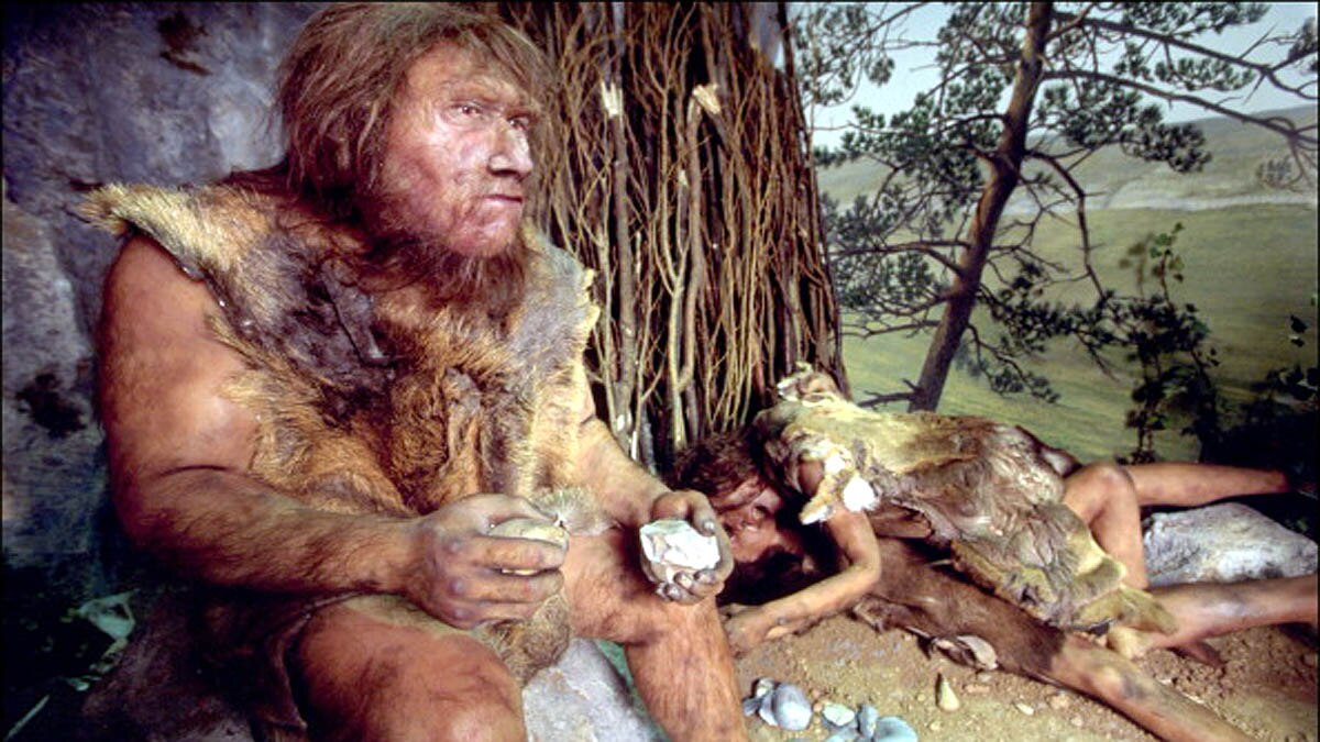 unknown human ancestor walked like bear