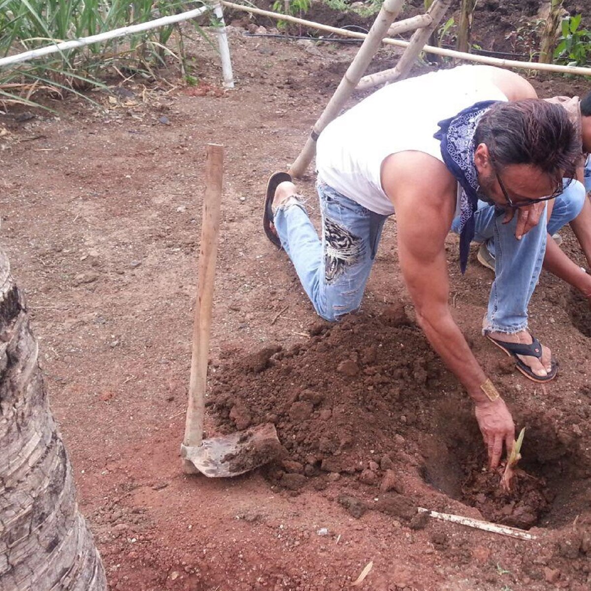 जैकी श्रॉफ