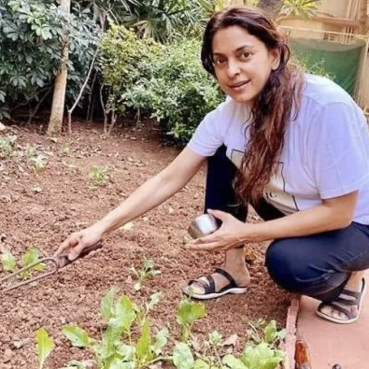 जूही चावला 