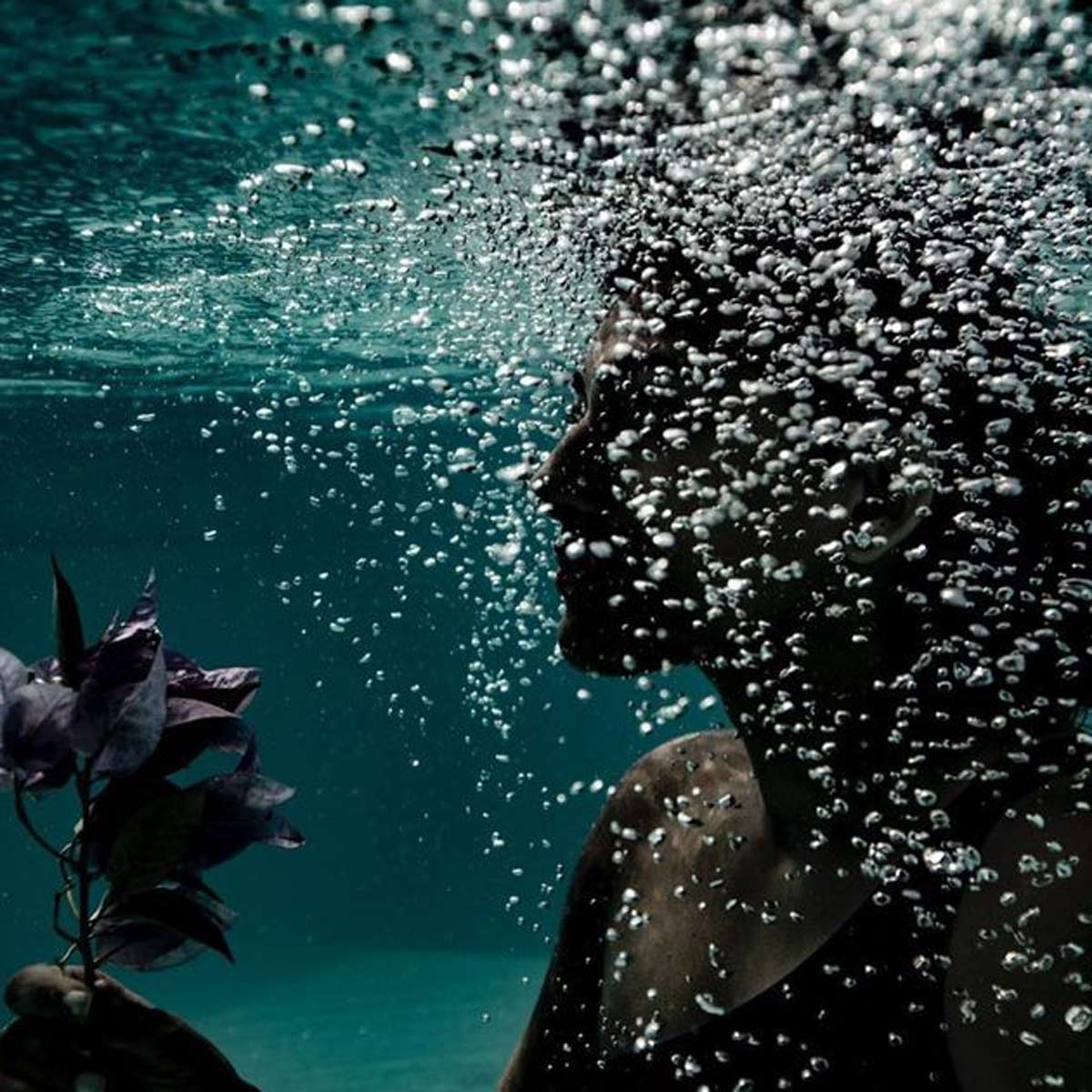 कुब्रा सैत 