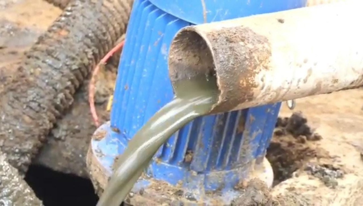 Process to use cow dung machine