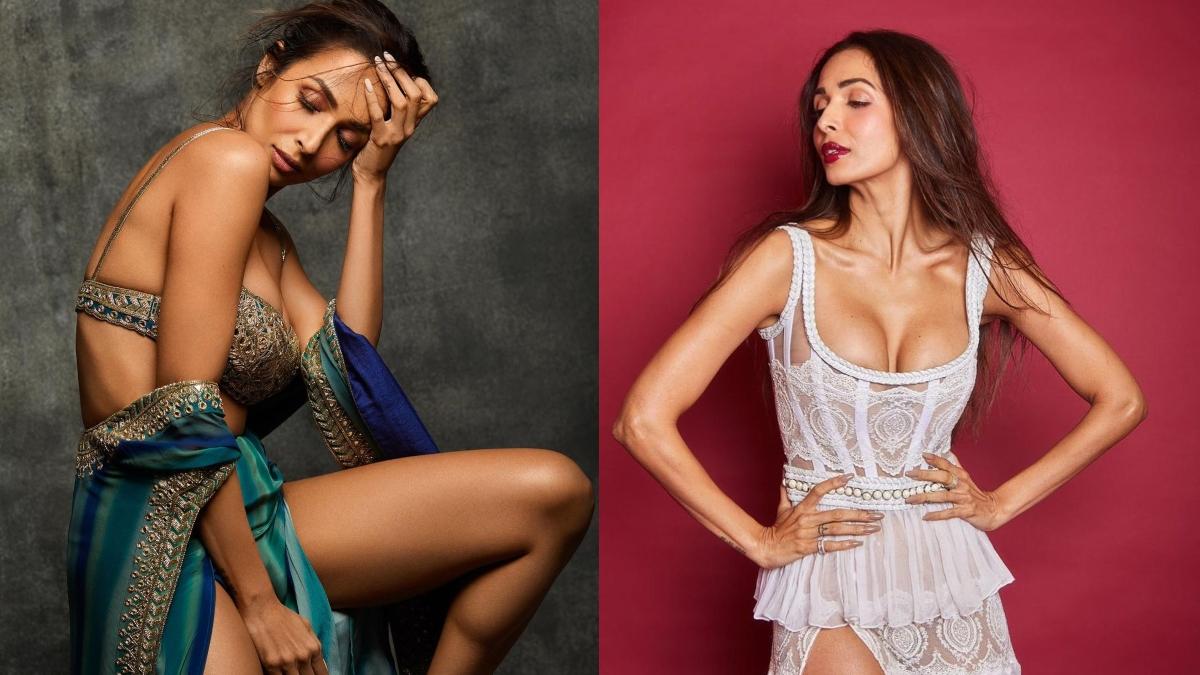 जब Arbaaz Khan से पूछा, Malaika Arora के छोटे कपड़ों से होती है परेशानी? दिया ये जवाब