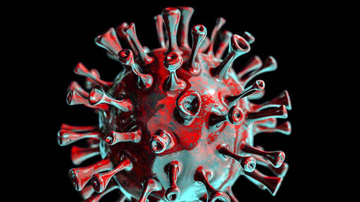 Omicron Virus Origin क्या चूहों से आया कोरोना का ये खतरनाक वैरिएंट