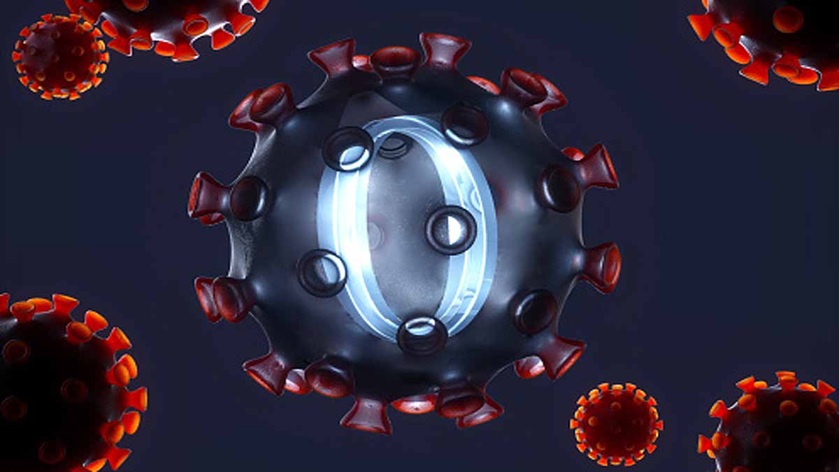 Omicron Virus Origin Rats