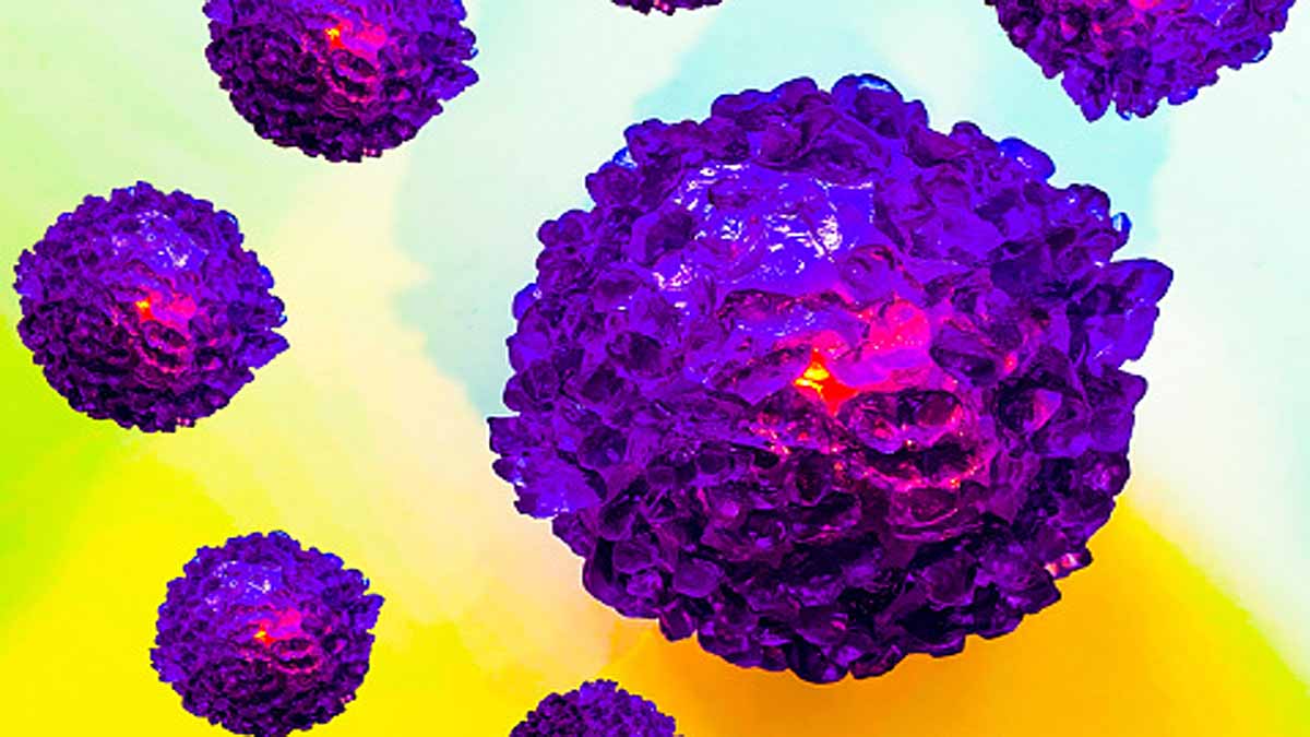 Omicron Virus Origin Rats