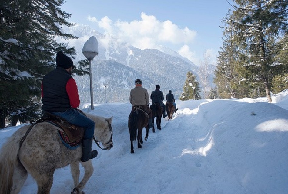 भारत की इन 8 जगहों पर हो रहा स्नो फॉल