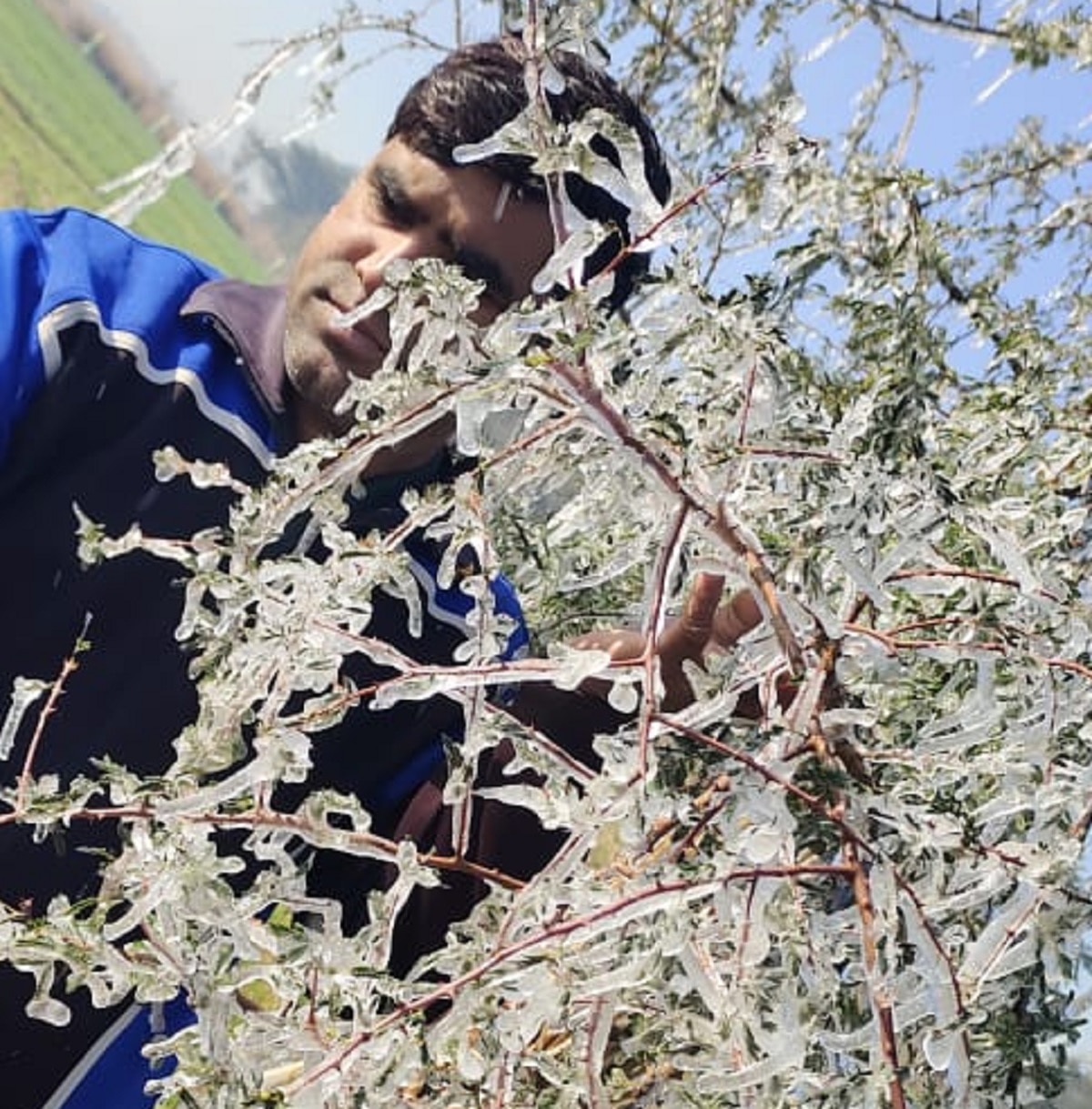 Rajasthan Winter Today