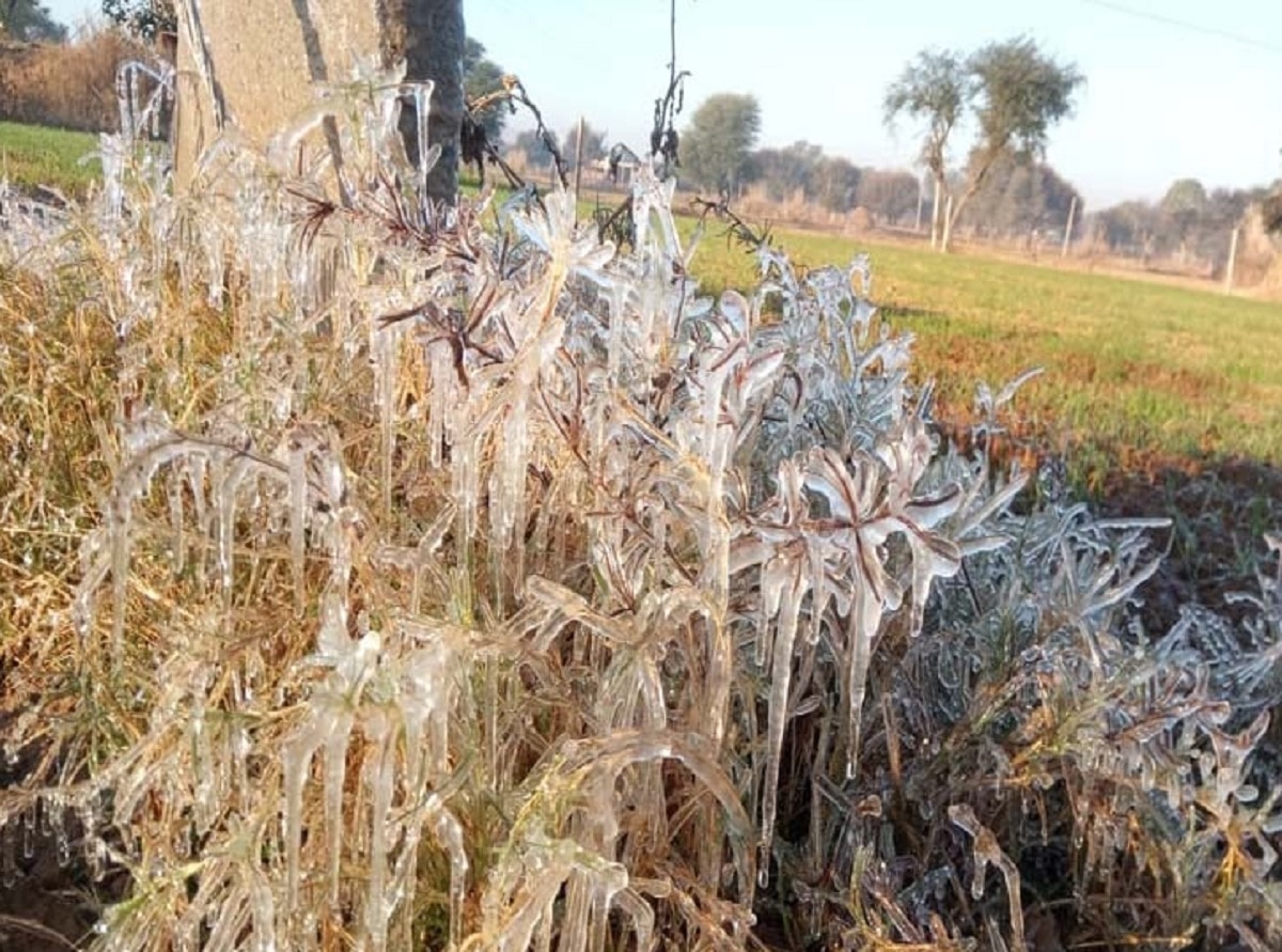 Rajasthan Weather Forecast