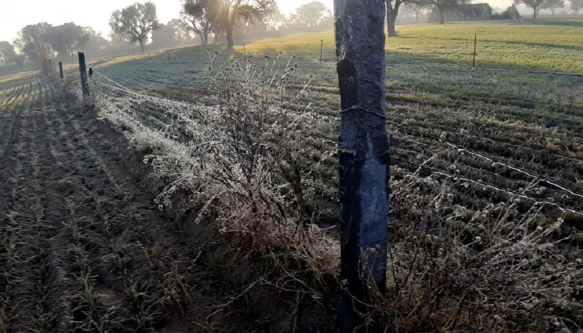 Today Rajasthan Weather