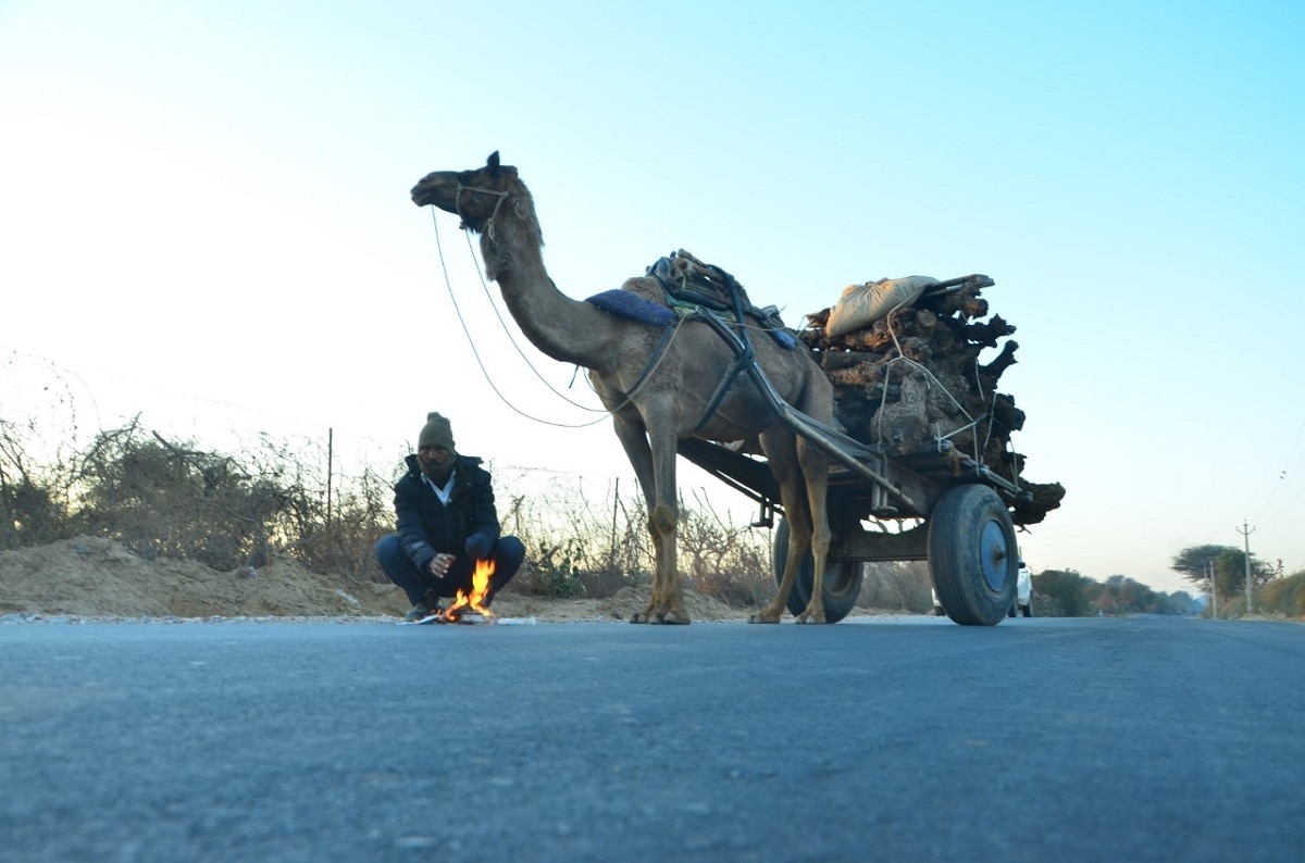 Rajasthan Temperature