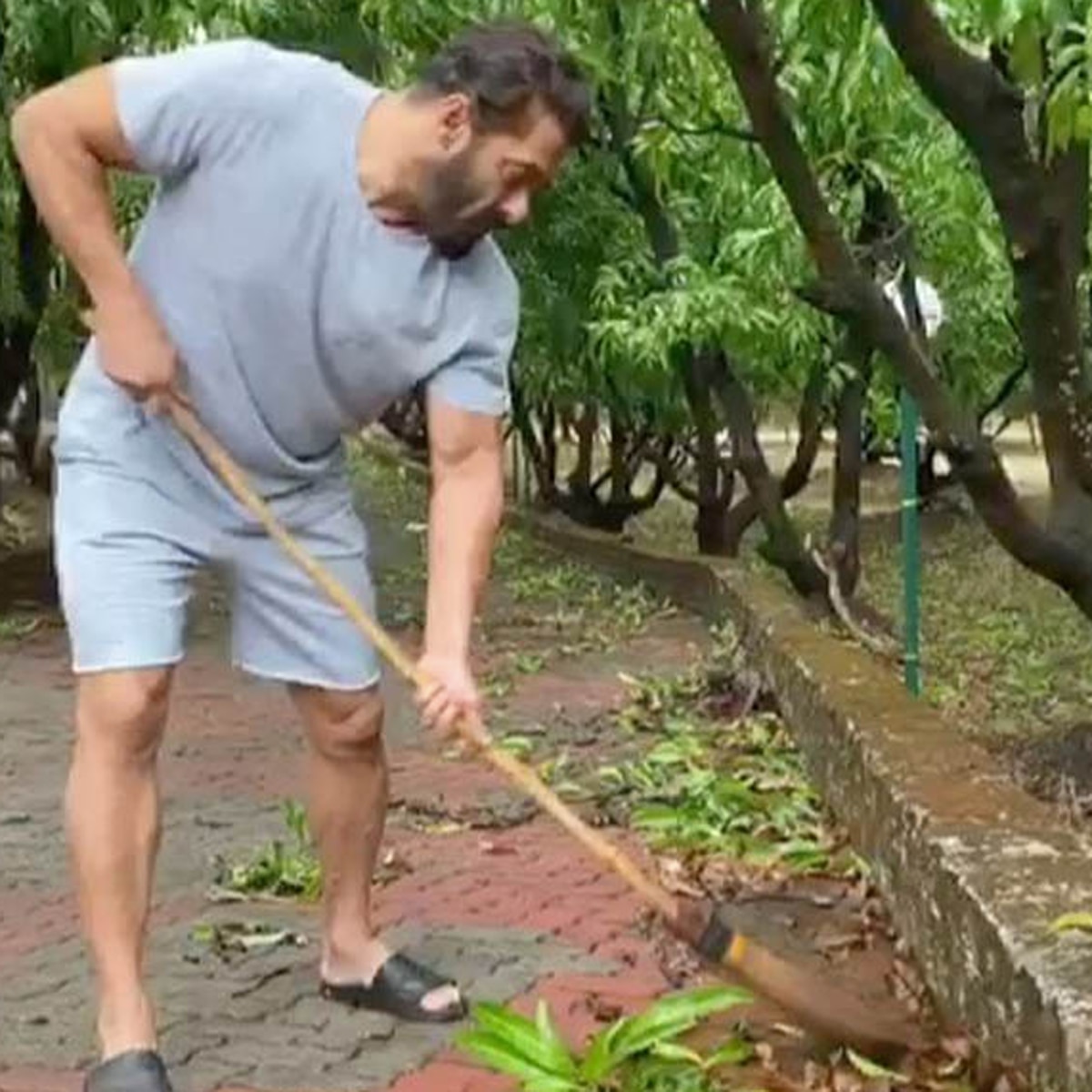 सलमान खान