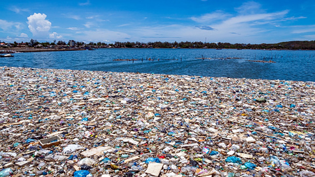 Sperm will save Earth from plastic