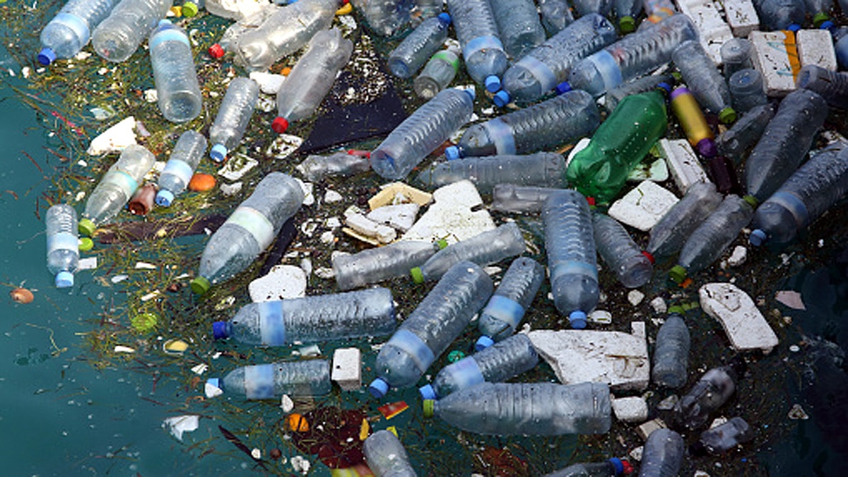 Sperm will save Earth from plastic