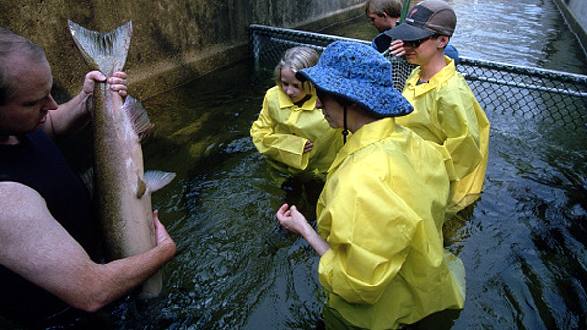 Sperm will save Earth from plastic