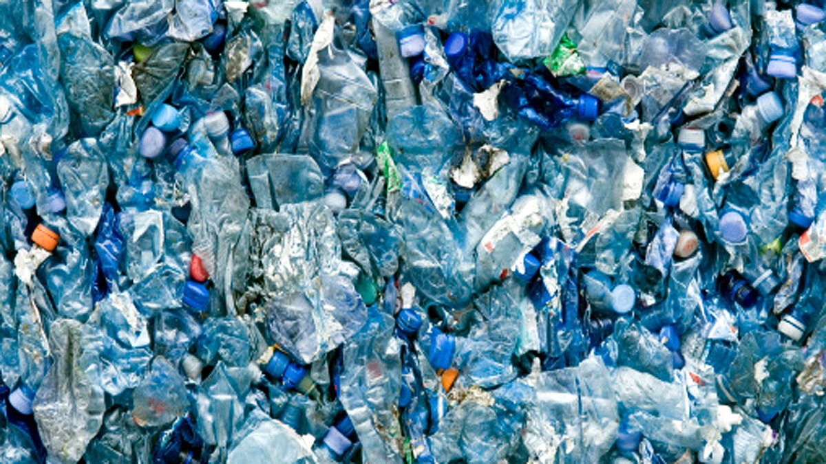 Sperm will save Earth from plastic