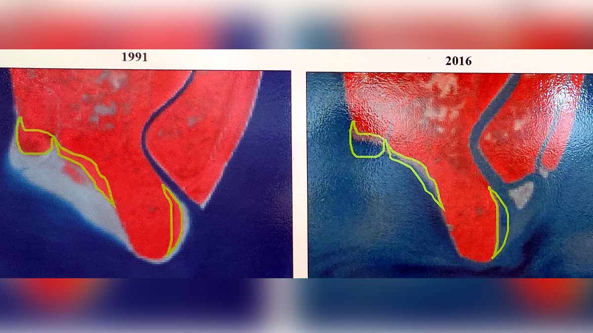 Sundarban Bhangaduni Island