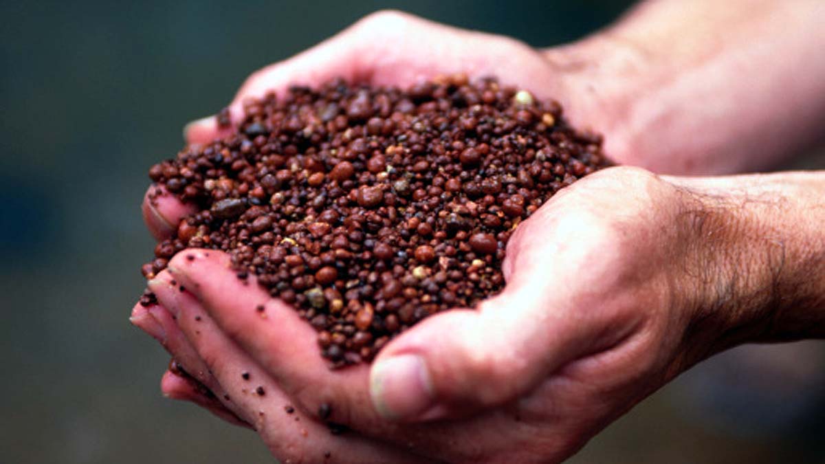 Treasure in Afghanistan