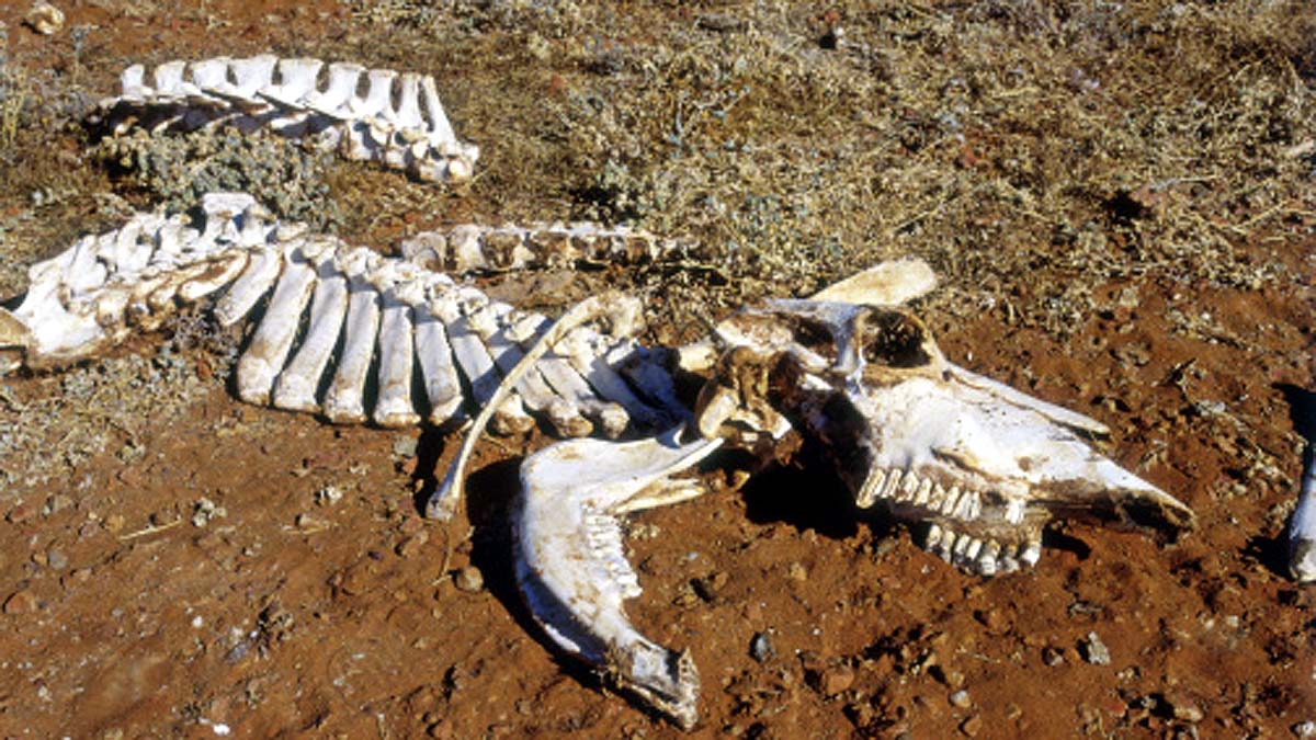 Man vaporized by Vesuvius Volcano