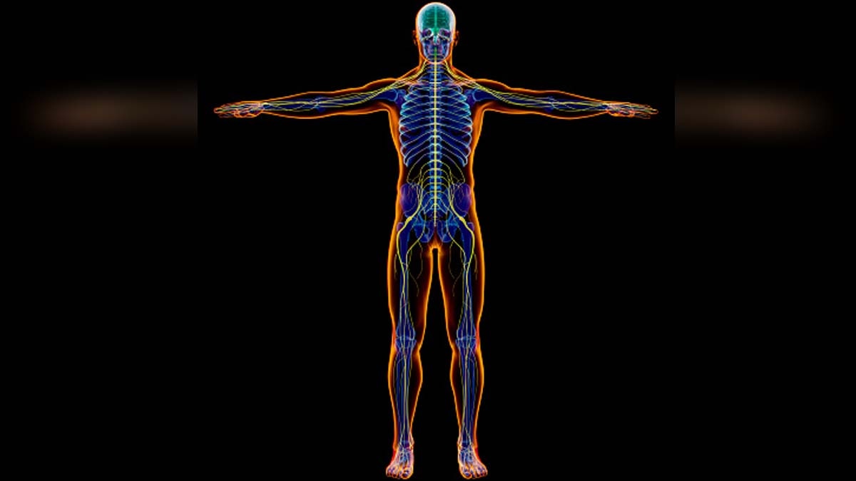 Why do I feel So cold?